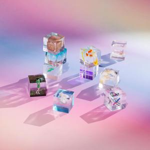 黑人扒开腿狂躁美女
