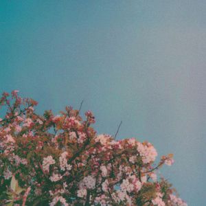 黑人扒开腿狂躁美女
